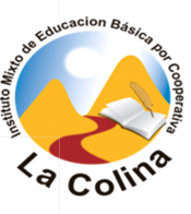 Logo Instituto La Colina